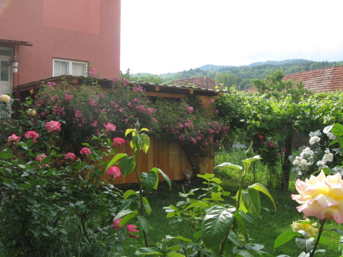 Casa Fabrizio Hotell Călimăneşti Eksteriør bilde