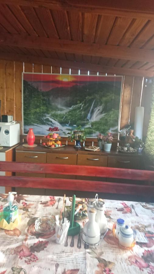 Casa Fabrizio Hotell Călimăneşti Eksteriør bilde