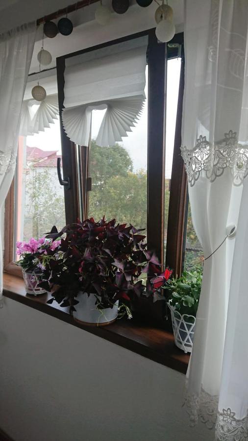 Casa Fabrizio Hotell Călimăneşti Eksteriør bilde